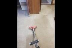 carpet-cleaning-1