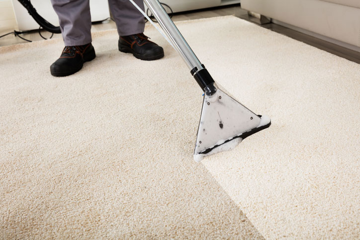 A person uses a carpet cleaning machine with pet safe carpet cleaning chemicals on a light-colored carpet, revealing a clear contrast between cleaned and uncleaned areas. Only the lower part of the person is visible.