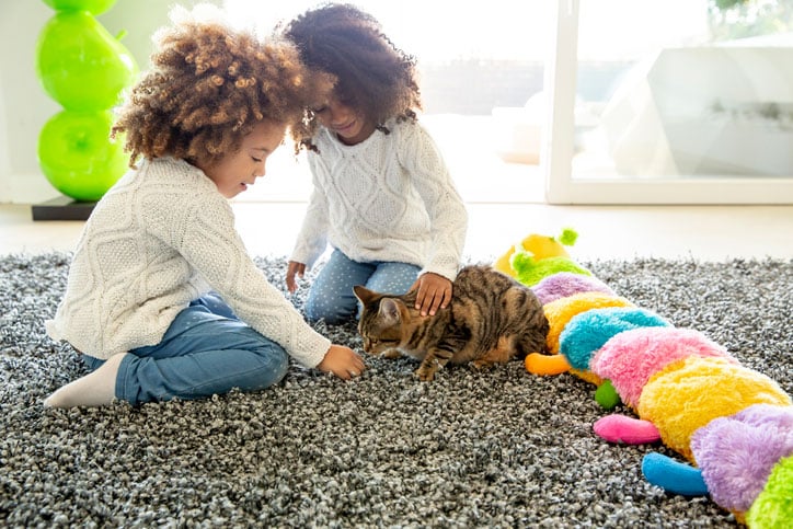 Two young children with curly hair, wearing white sweaters and jeans, sit on a gray carpet petting a brown tabby cat, with a colorful caterpillar plush toy nearby—pet safe for both the cat and children ensures human safety in this bright room.