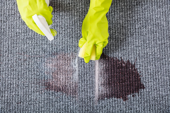 A person wearing yellow rubber gloves sprays cleaning solution onto a large dark stain on a gray carpet, showing one of the many reasons to clean upholstery and maintain a fresh home environment.