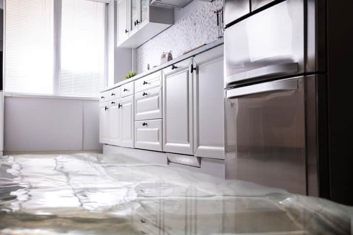 Dishwasher with Water Damage