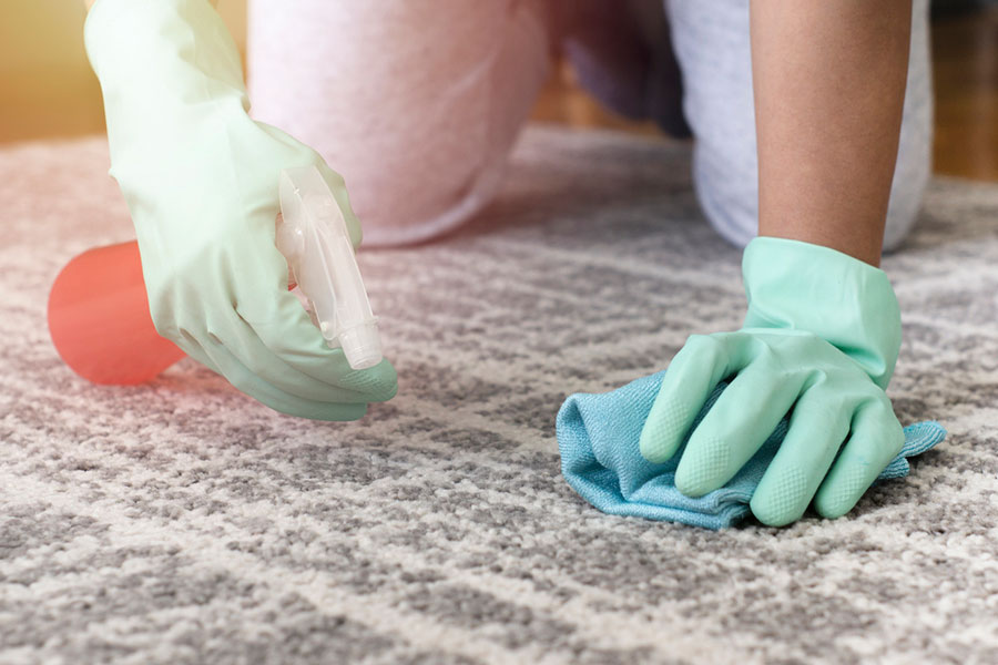 Carpet Stain Cleaning