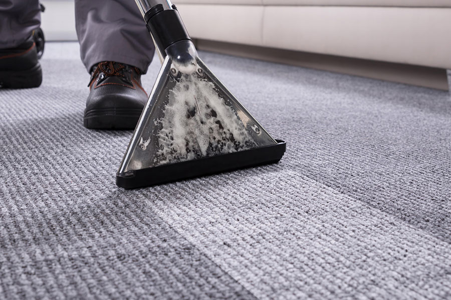Close-up of a person cleaning a gray carpet with a carpet cleaning machine, highlighting the clear difference between cleaned and uncleaned sections—a crucial step in water damage restoration.