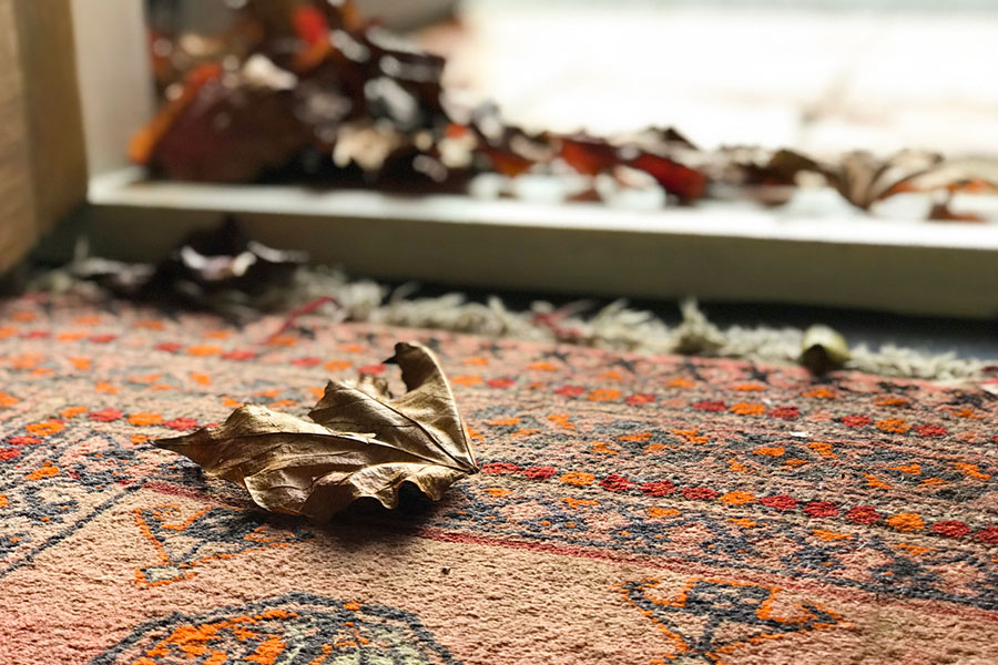 Fall Leaves Entrance Rug