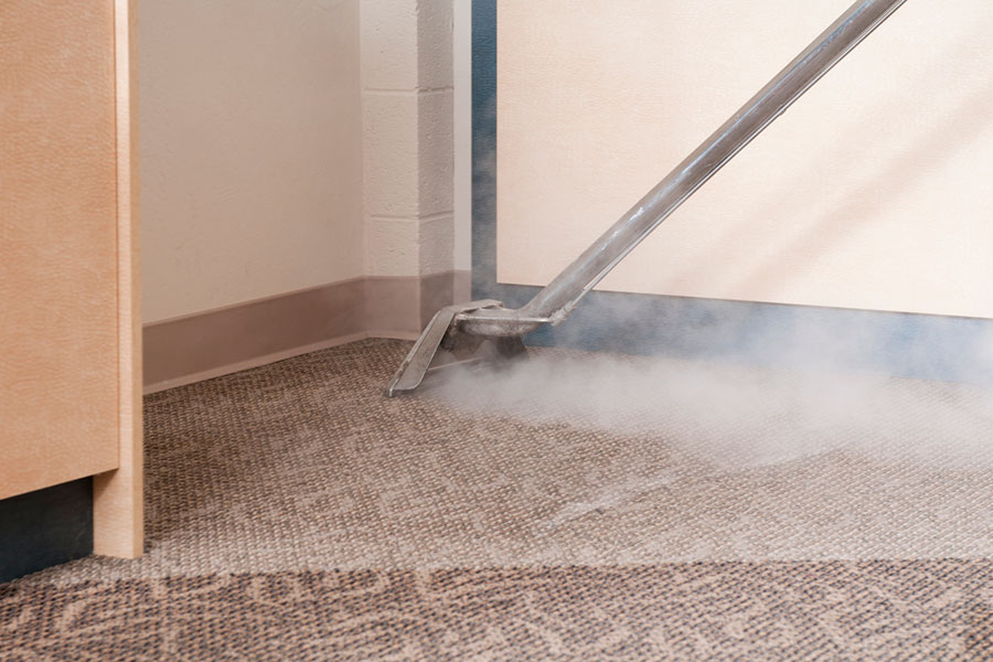 Carpet Cleaner on Commercial Carpet