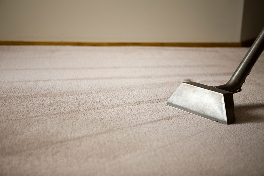 A carpet cleaning tool is being used on a light-colored carpet, leaving clean, straight lines on the surface as part of effective carpet maintenance.